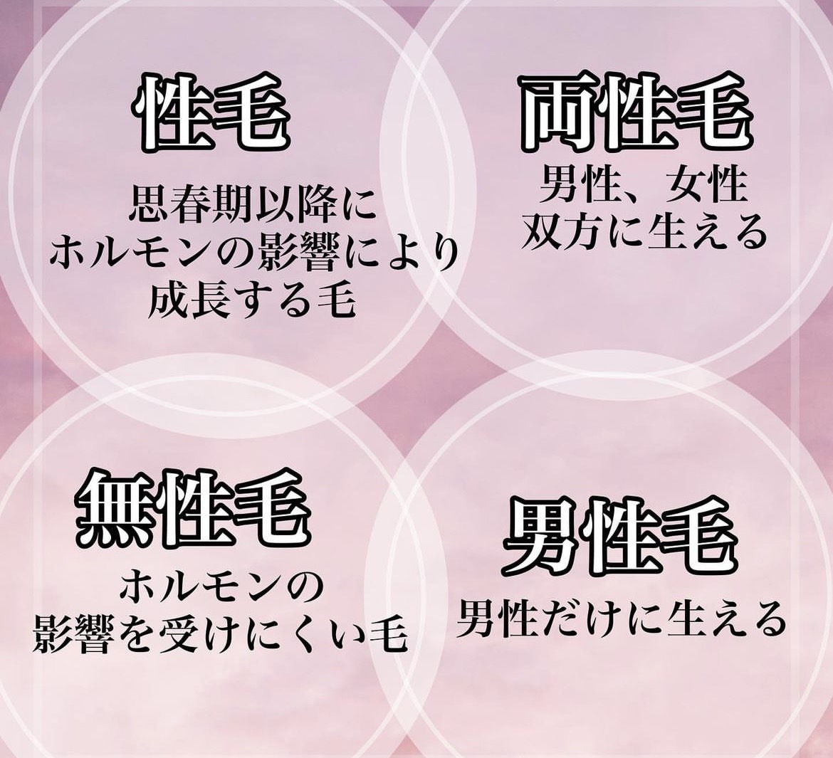 ダウンロード